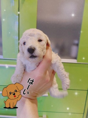 image0_8.jpeg