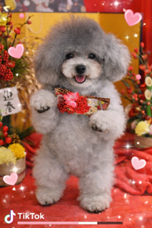 image0.png